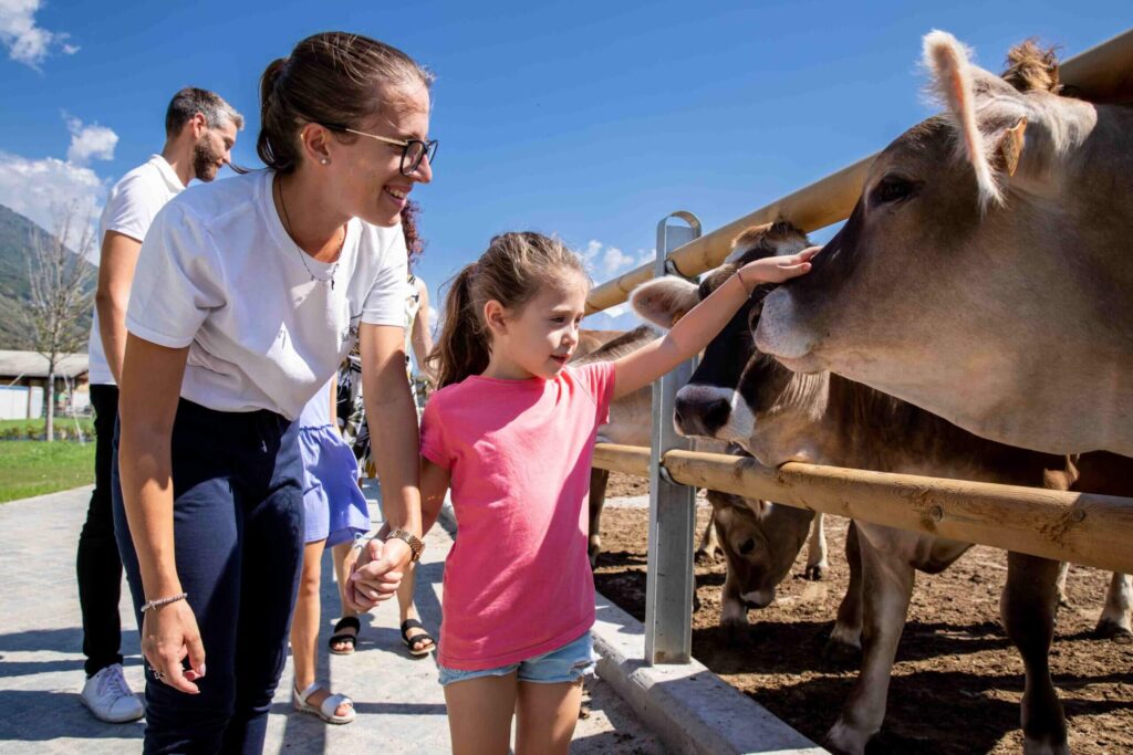 Family farm
