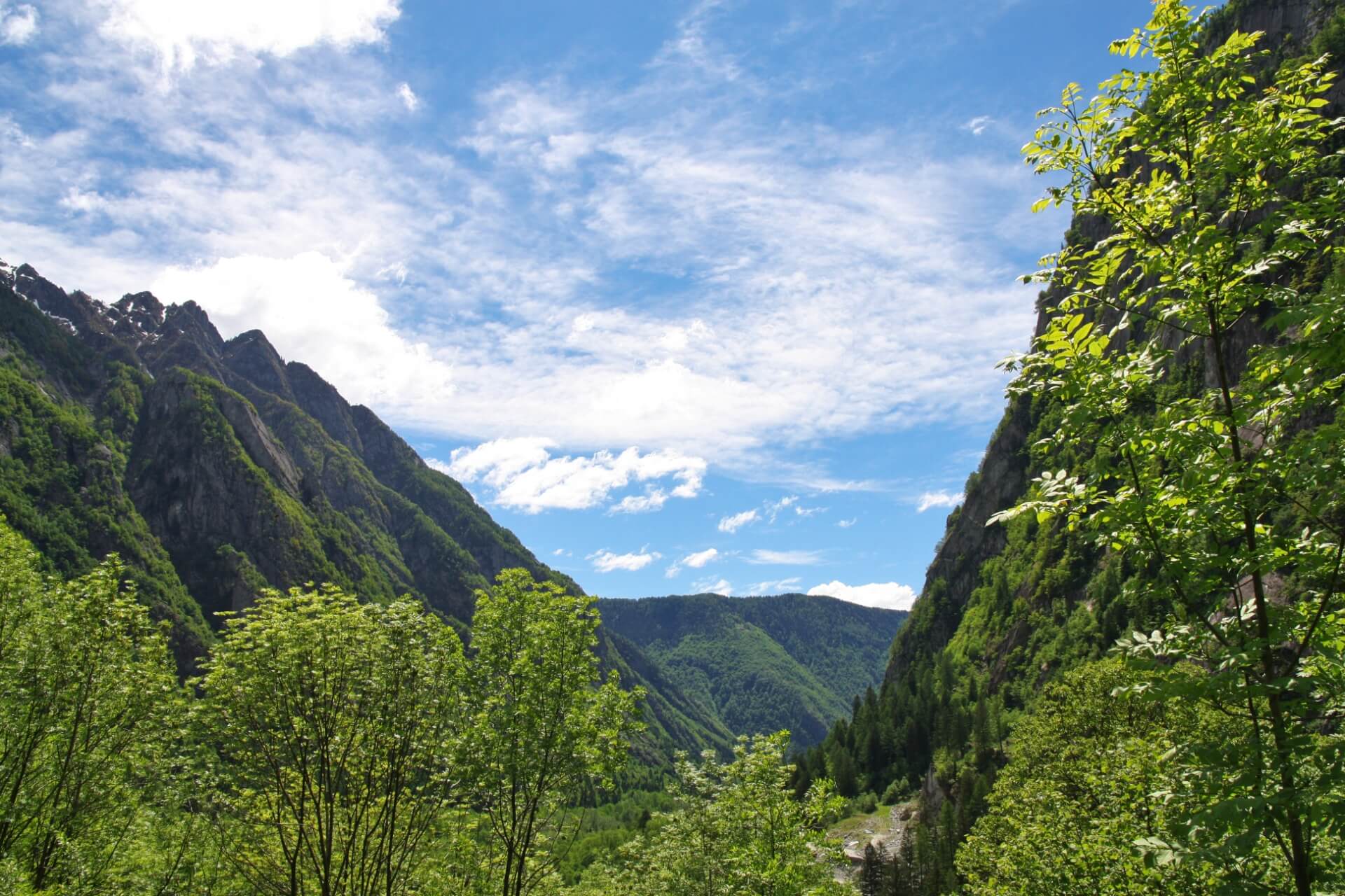escursioni in valmasino e in valtellina vicino alla fiorida